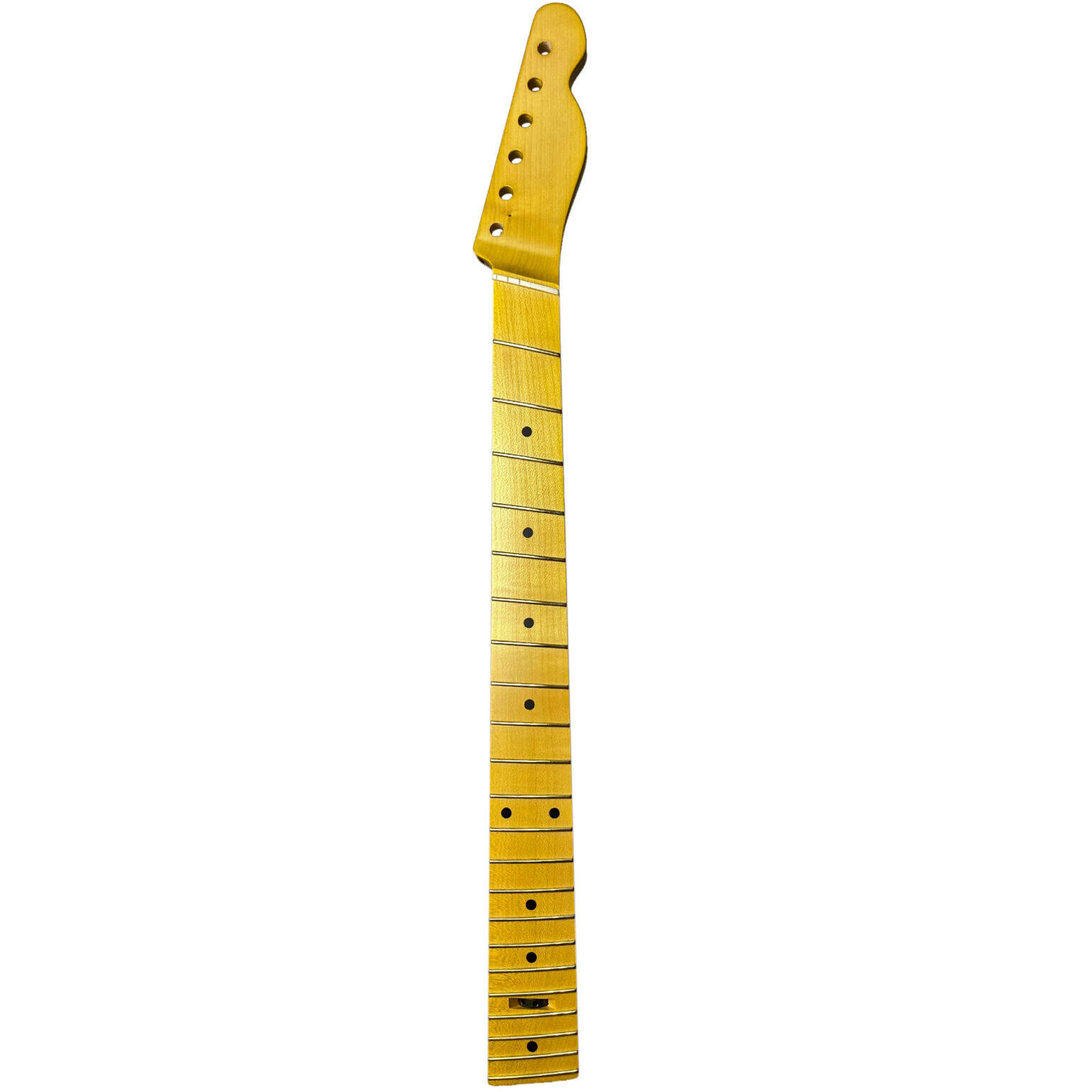 KNECK1