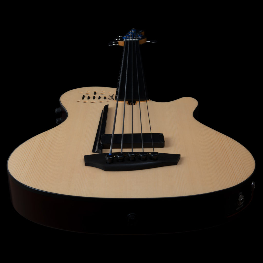Godin A5 Ultra Natural Fretless A/E 5-String Bass – Amp Shop Bass Godin A5 Ultra Natural Fretless A/E 5-String Bass – Amp Shop Bass