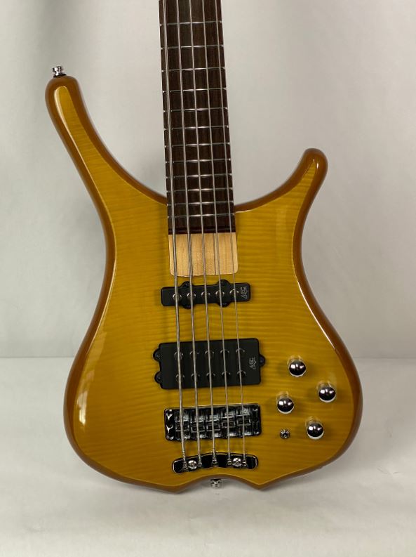 Warwick RockBass Infinity 5 String Bass Natural Transparent